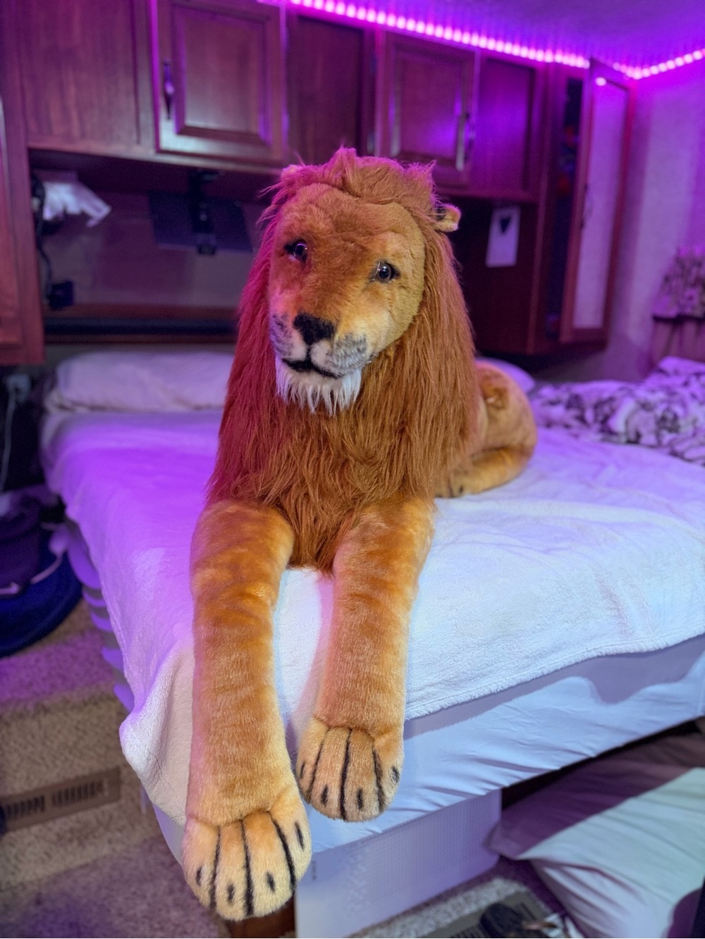 Melissa & Doug Plush Lion Toy - Brown and Cream Mane human size 4ft. - Picture 9 of 16